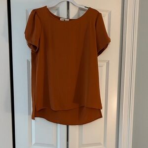 Elegant Rust Blouse for Women